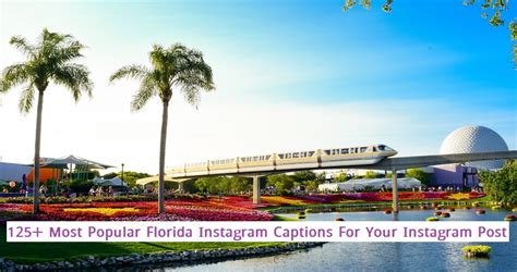 125+ Most Popular Florida Instagram Captions For Your Instagram Post - Surveylandbd