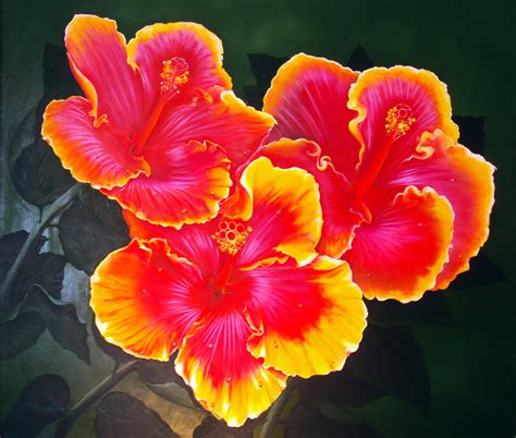 Hibiscus Flower | Fine Art By Tony