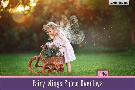 Fairy Wings Photo Overlays - FilterGrade