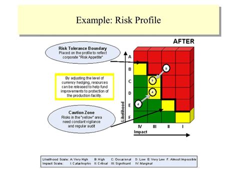 Risk Profile Template