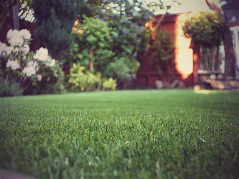 Benefits of Turf Installation for Your Yard - Cutting Edge Landscape Design