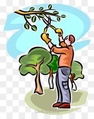 Clipart For Tree Trimming & Clip Art For Tree Trimming - Tree Trimming ...