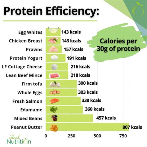 Protein: What’s Important When Trying to Build Muscle?