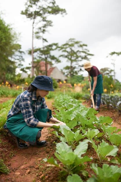 Free Photo | Two farmers cultivating plants in the orchard