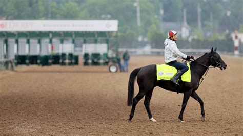 Kentucky Derby At Stake After 4 Horses Mysteriously Die