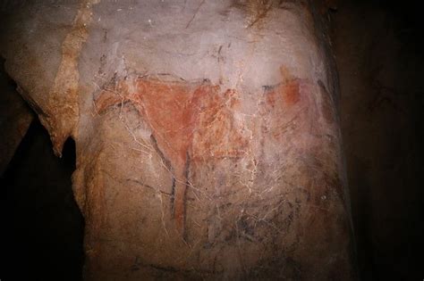 Cave Art Project | Ancient art, Cave paintings, Aboriginal art