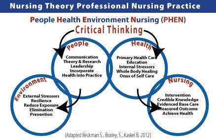 Image result for nursing metaparadigm | Nursing theory, Health communication, Educational leadership