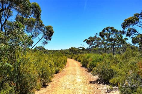 A Guide To Visiting Flinders Chase National Park - Explore Shaw