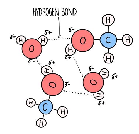 Alcohols* — the science sauce