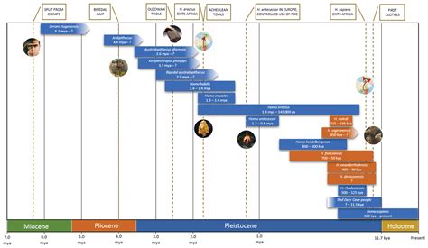 Science Break: Hominin Update (Part 1) | March 2018 | CSEG RECORDER