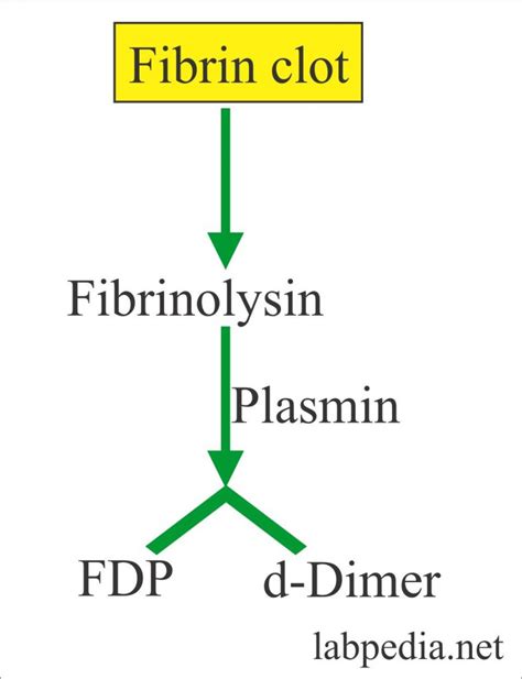 Fibrinogen Degradation products (FDP) or Fibrin split products (FSP), and d-Dimer – Labpedia.net