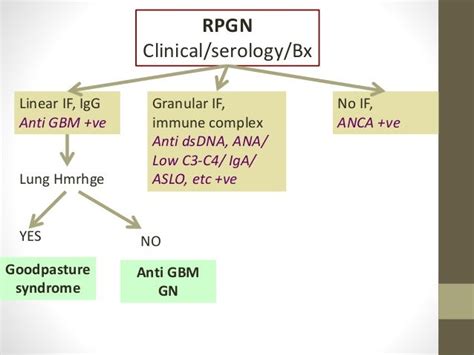 Approach to Rapidly Progressive Glomerulonephritis RPGN