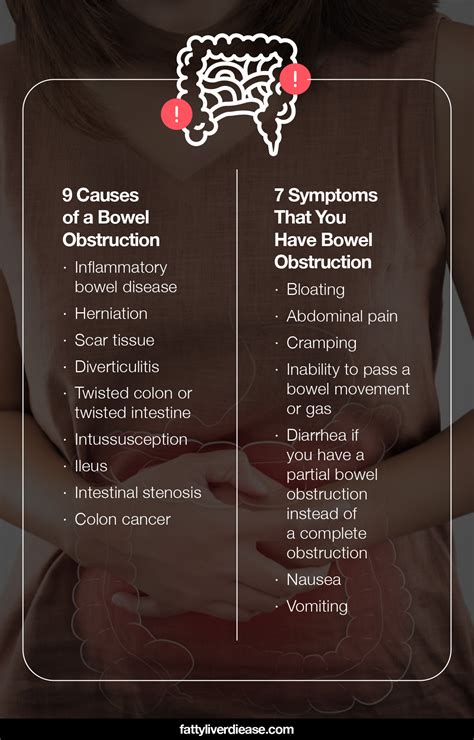 Bowel Obstruction Diet: Foods to Eat and Avoid | Fatty Liver Disease