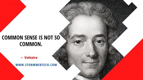 100 + Famous Voltaire Quotes On Freedom, Democracy, Love