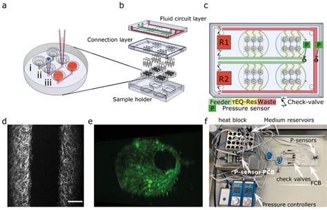 Design of the microfluidic system (a) The round microfluidic devices... | Download Scientific ...