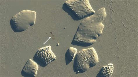 Penguin poop patches spotted from space in high-resolution satellite ...