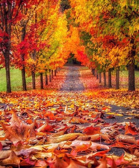 Embedded | Autumn scenery, Fall pictures, Scenery