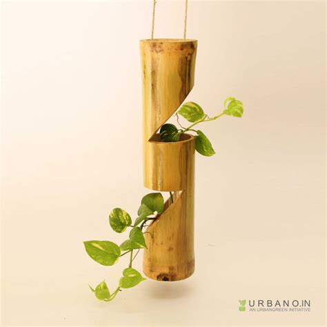 Bamboo ninjacut hanging planter - URBANO.IN hanging plants