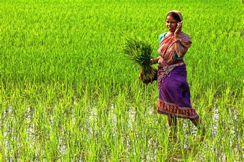 WOMAN IN AGRICULTURE | Smithsonian Photo Contest | Smithsonian Magazine