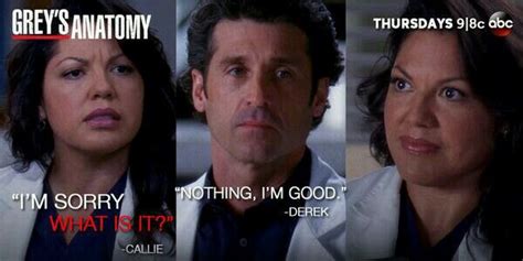 Callie Torres: I'm sorry, what is it? Derek Shepherd: Nothing, I'm good. Grey's Anatomy quotes ...