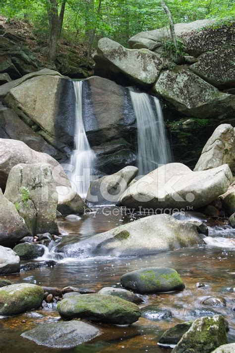 Waterfall In Woods Stock Photo | Royalty-Free | FreeImages