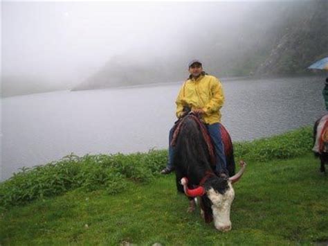 yak-ride-by-tsomgo-lake - Ghumakkar - Inspiring travel experiences.