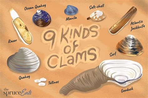 National Fried Clam Day (July 3): History, Celebrations and Facts | KnowInsiders