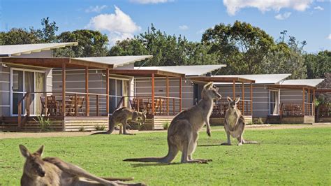 Best caravan parks Australia: Discovery Parks, glamping | escape