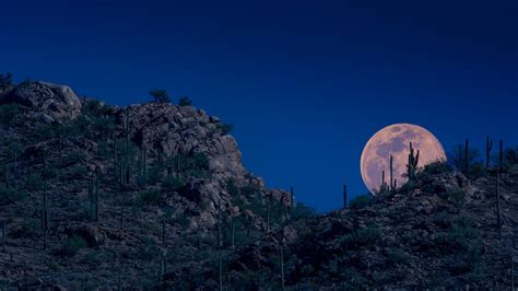 Bing HD Wallpaper : A pink moon over Arizona - Bing Wallpaper Gallery