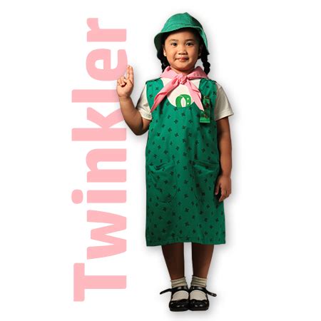 Twinkler Scout (Girl Scouts of Korea) | Girl Scout Wiki | Fandom