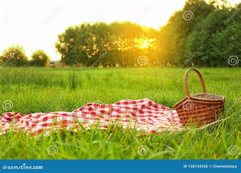 Picnic Blanket and on Grass in Park Stock Photo - Image of recreation ...