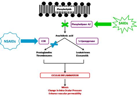 Mechanism Of Action Of Nsaids - IMAGESEE