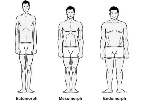 Princess Ganga Writes: What Does a Muscular Ectomorph, Mesomorph and Endomorph Look Like?