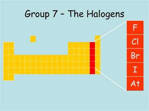 Group 7 Halogens - Presentation Chemistry