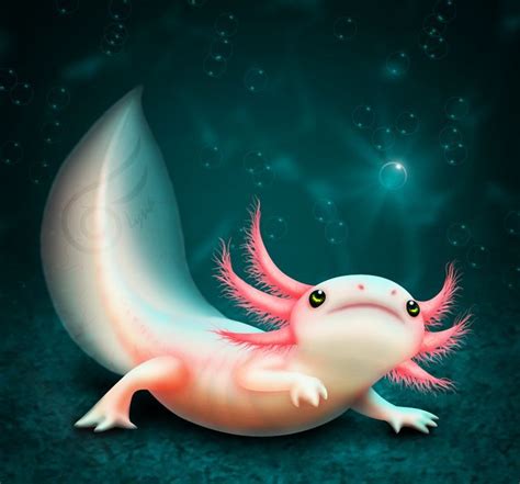 Turquoise by Lichtdrache.deviantart.com on @DeviantArt | Axolotl cute, Cute animal drawings ...