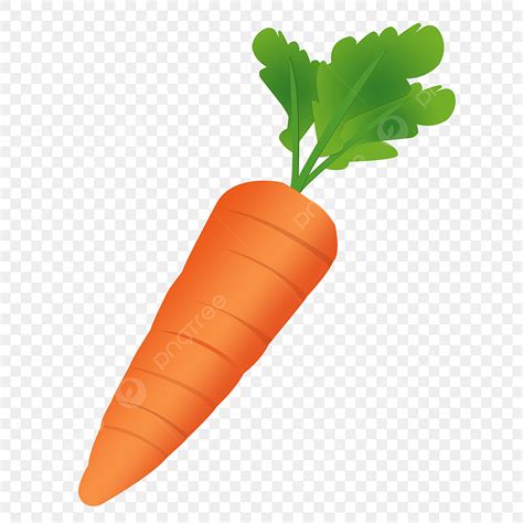 Carrot Cartoon PNG, Vector, PSD, and Clipart With Transparent Background for Free Download | Pngtree