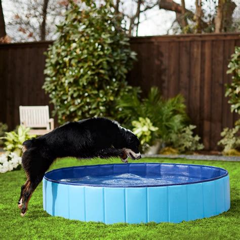 Frisco Outdoor Dog Swimming Pool - Companion Animal Network