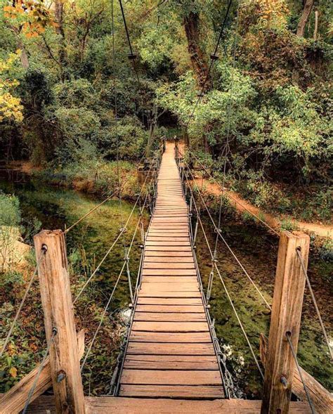 8 Jaw-Dropping Swinging Bridges in the South