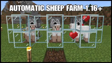 Automatic Sheep Farm for Minecraft Bedrock 1.16 (PS4, XBOX, SWITCH, PC ...