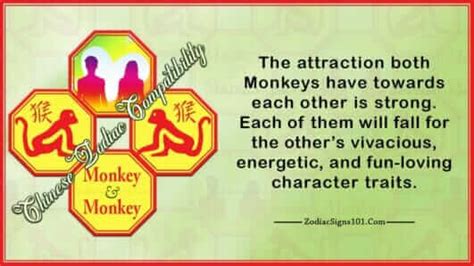 Monkey Monkey Compatibility: Similar And Unstable - ZodiacSigns101