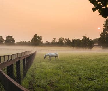 Gainesway Farm - Lexington, KY - VisitLex