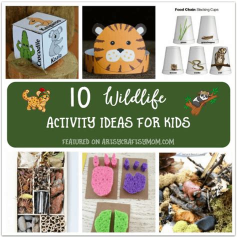 10 Wildlife Theme Activities For Kids To Do At Home