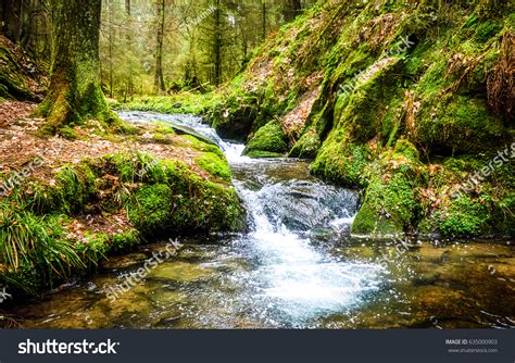 Stream-waterfall-forest Stock Photos, Images & Photography | Shutterstock