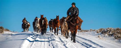 Wyoming luxury ranch offers 33% off rates - Travel CourierTravel Courier