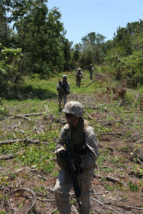 DVIDS - Images - LAAD conducts field training, brushes up on basics [Image 2 of 8]