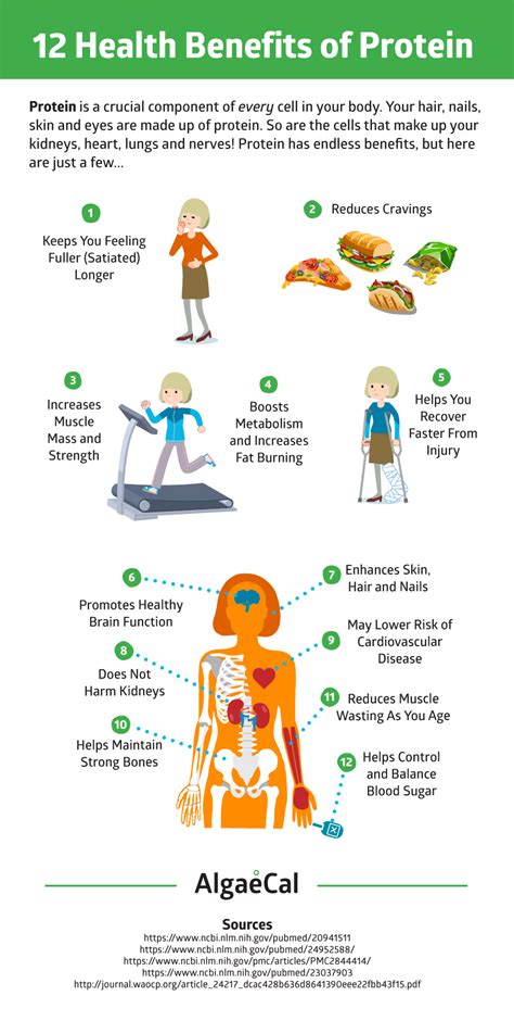 Protein and Bone Health | Health protein, Protein benefits, Infographic health