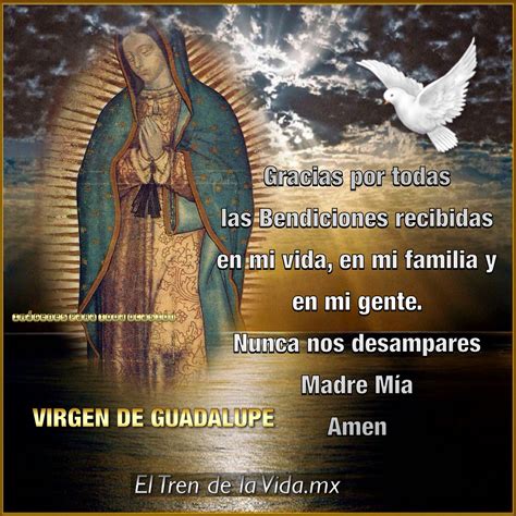 Photo%252020141210191121.jpg (2048×2048) | Frases virgen de guadalupe, Oracion virgen guadalupe ...