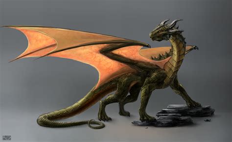 Dragon Concept Art by Rofelrolf on DeviantArt