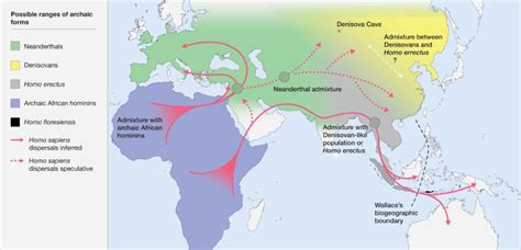 The Last Hominin Standing – Popular Archeology