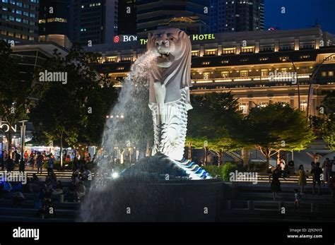 Merlion Park, a iconic statue in Singapore at Night. Merlion is a mythical creature with a lion ...